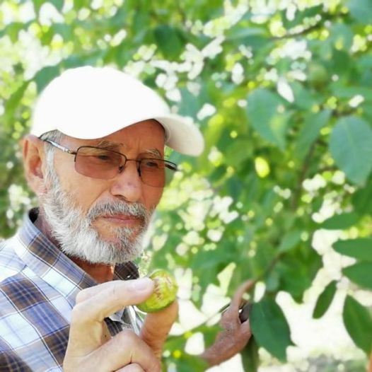 Mehmet selvi vefat etti