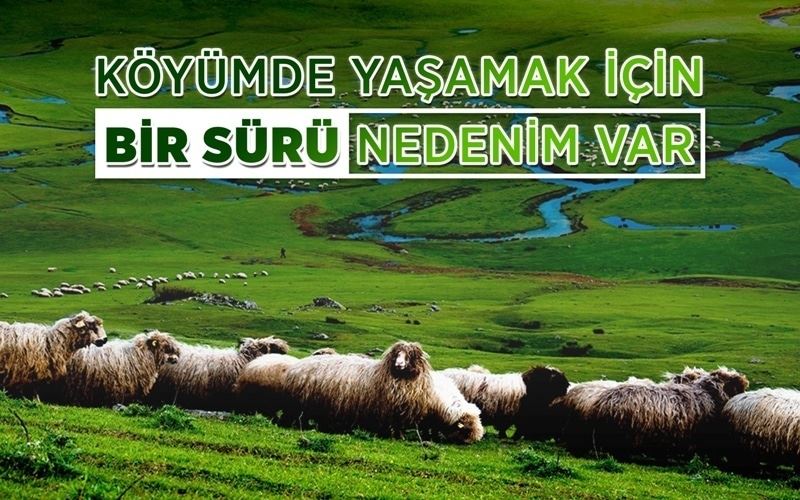Köyümde yaşamak için bir sürü nedenim var projesi müracaatları başladı
